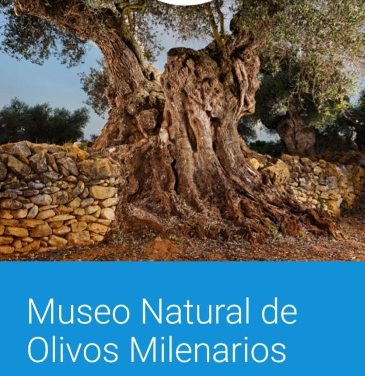 Vila El Llimoner San Jorge  Exteriér fotografie